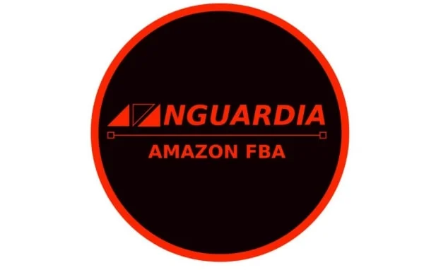 Avanguardia FBA 2.0 di Giorgio Tavazza - copertina corso